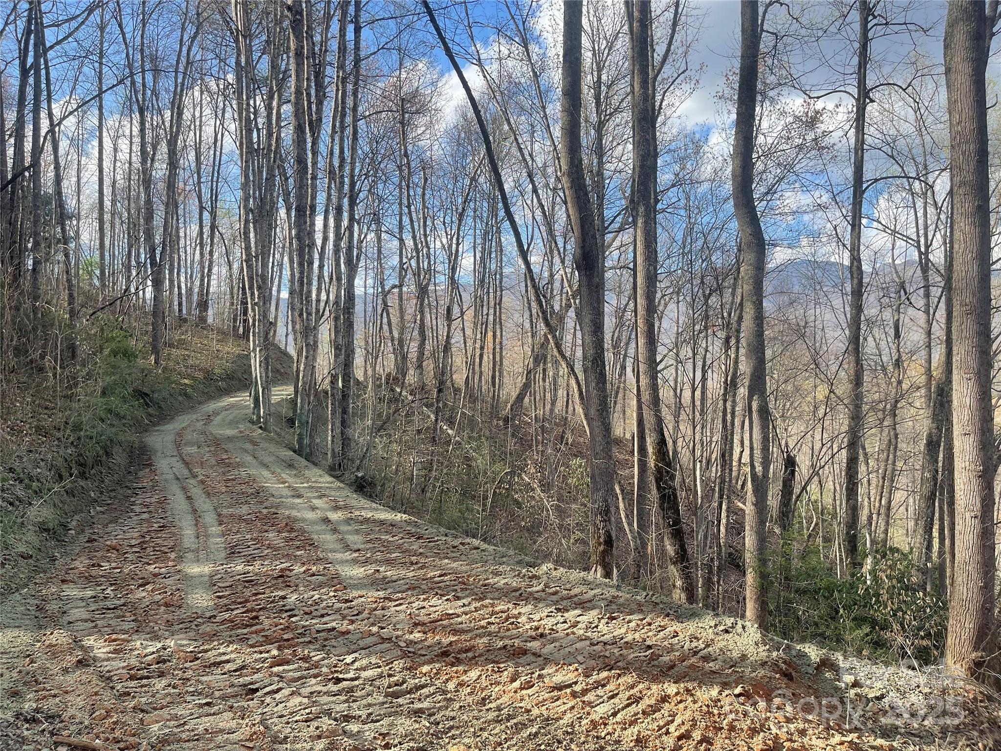 4 Copperhead Cove Sylva NC 28779