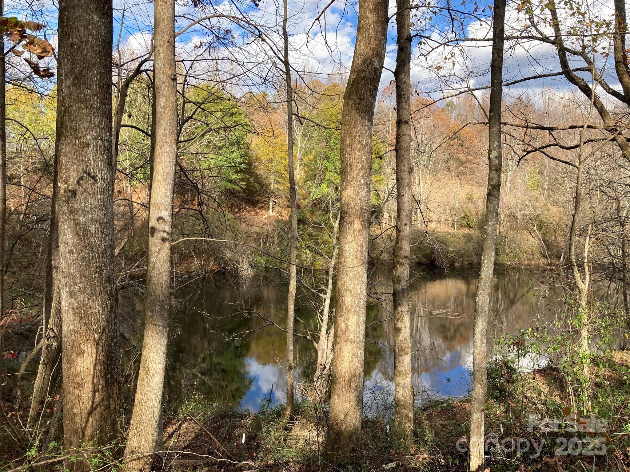 1638 Continental Divide Drive Flat Rock NC 28731
