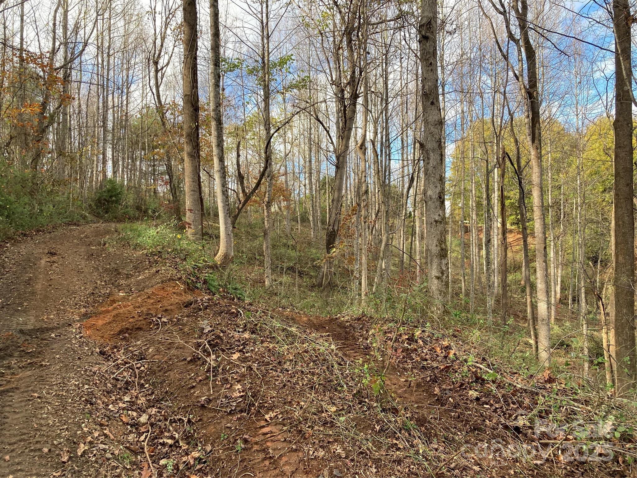 1638 Continental Divide Drive Flat Rock NC 28731