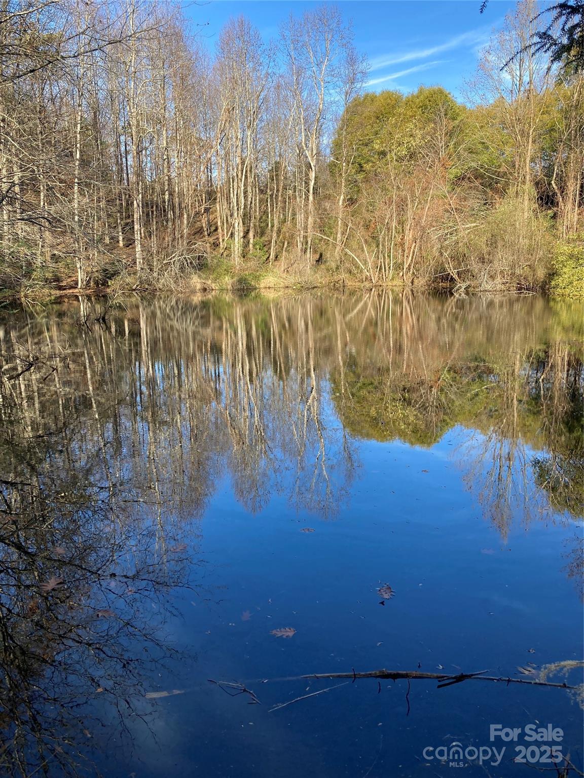 1638 Continental Divide Drive Flat Rock NC 28731