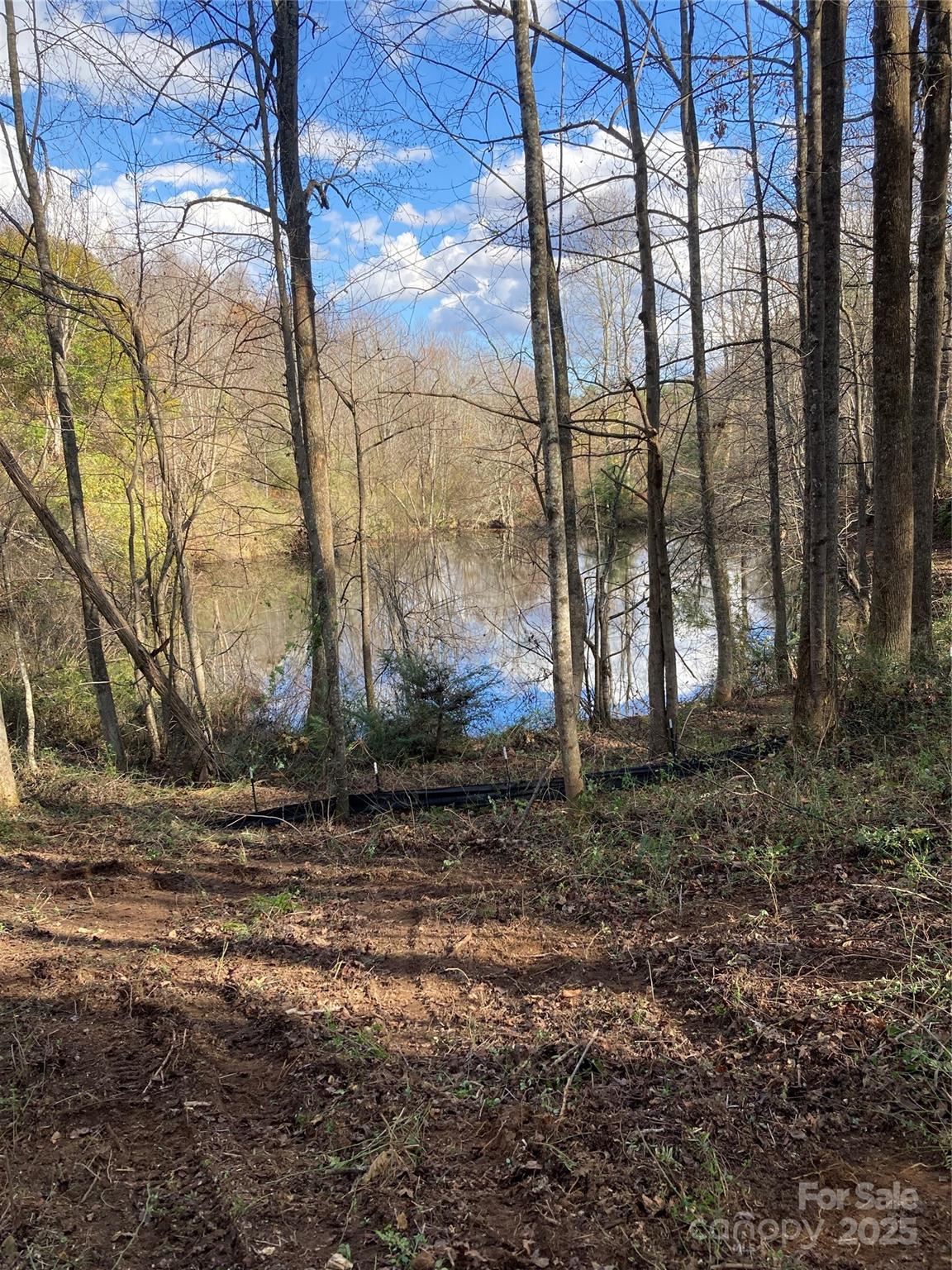 1638 Continental Divide Drive Flat Rock NC 28731