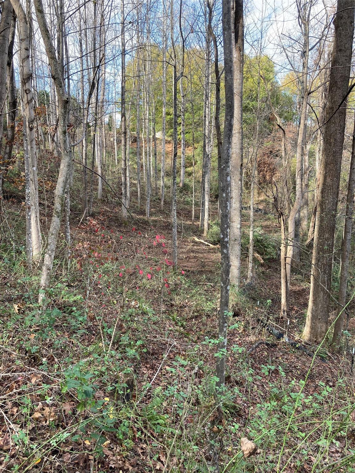 1638 Continental Divide Drive Flat Rock NC 28731