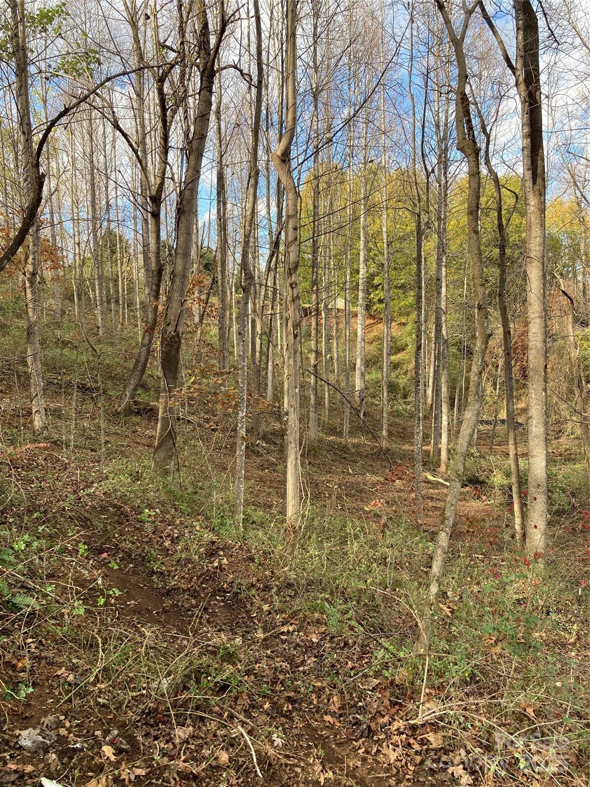 1638 Continental Divide Drive Flat Rock NC 28731