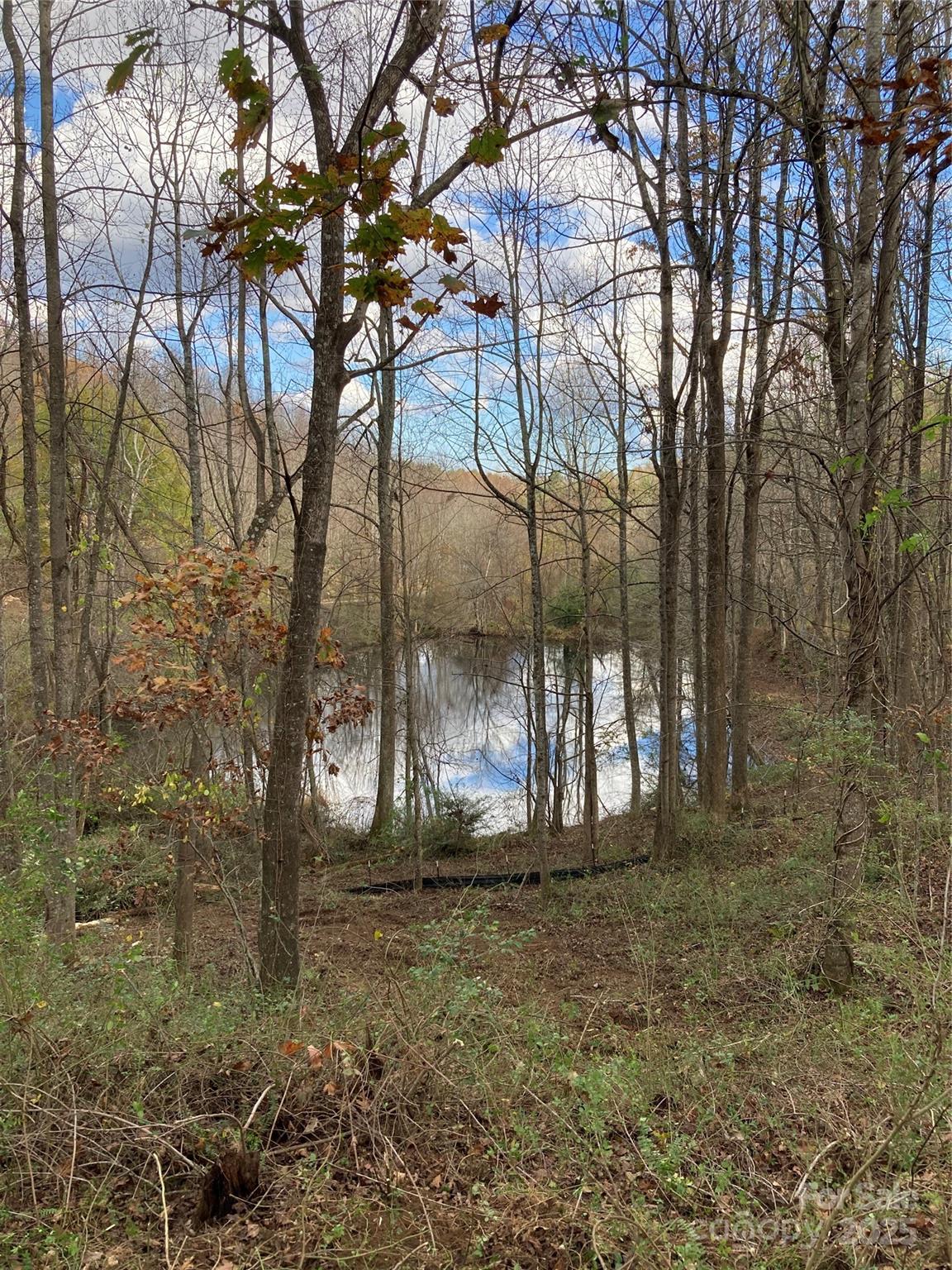 1638 Continental Divide Drive Flat Rock NC 28731