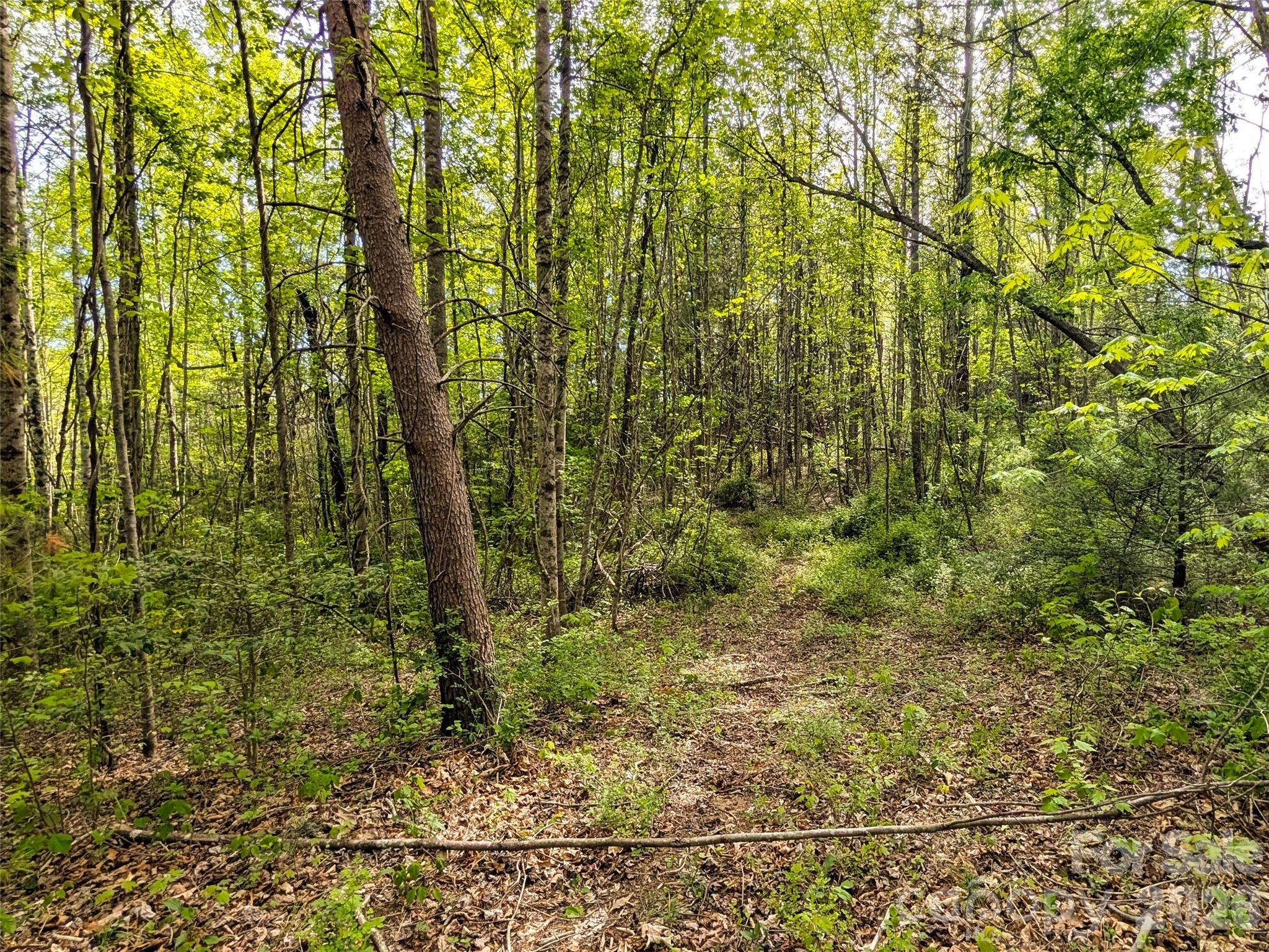 99999 Weldon Way Fairview NC 28730