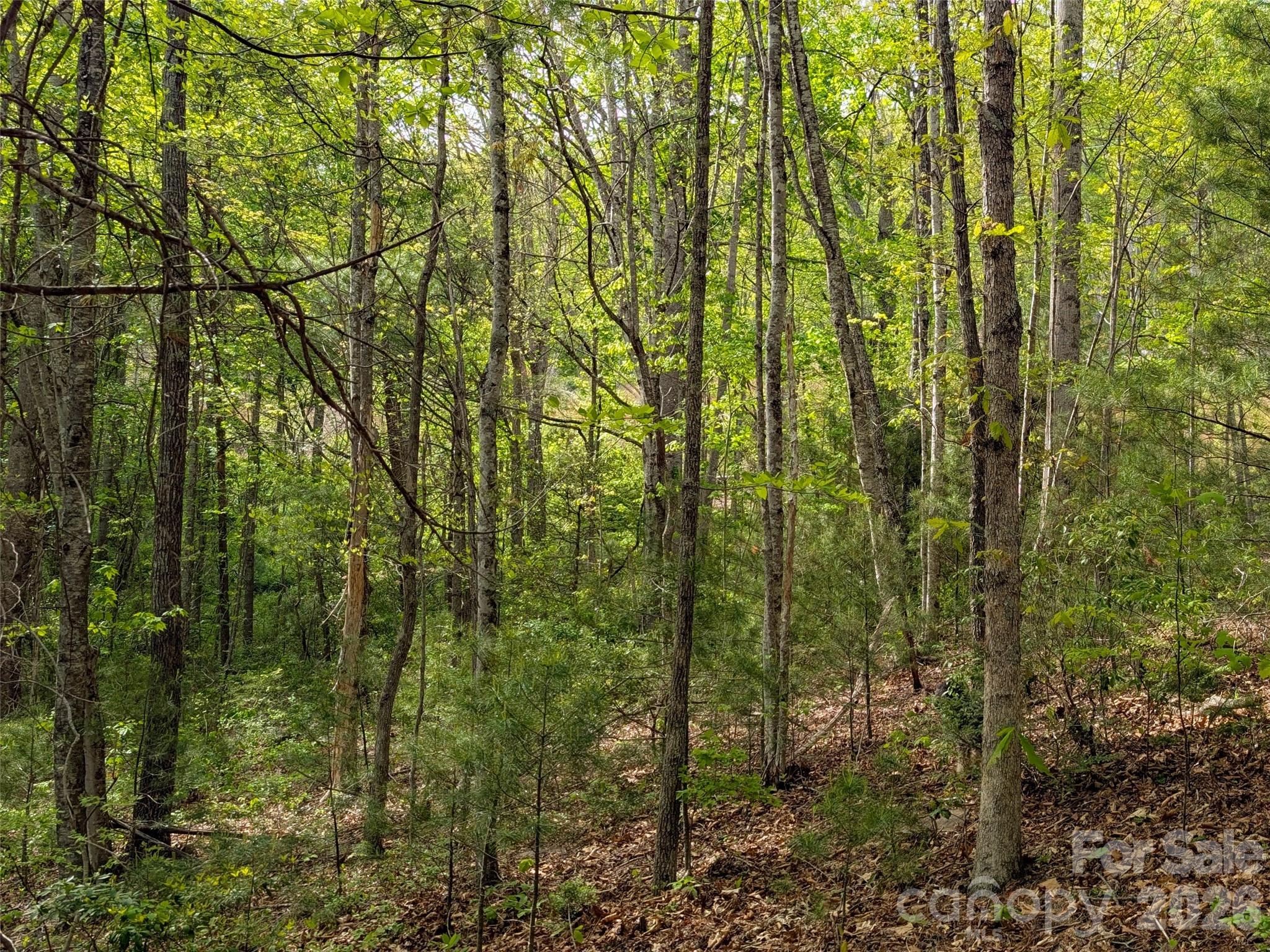 99999 Weldon Way Fairview NC 28730