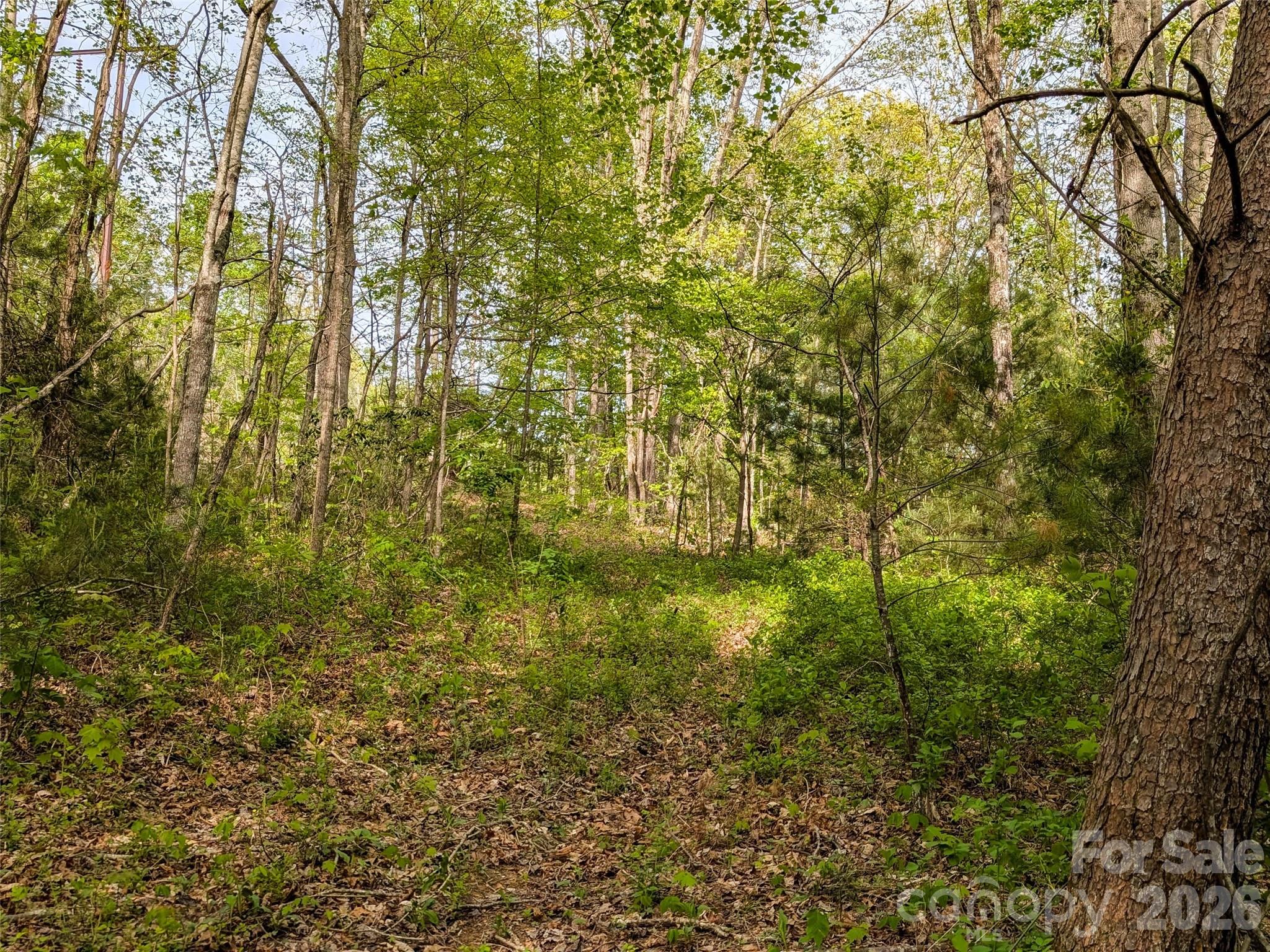 99999 Weldon Way Fairview NC 28730
