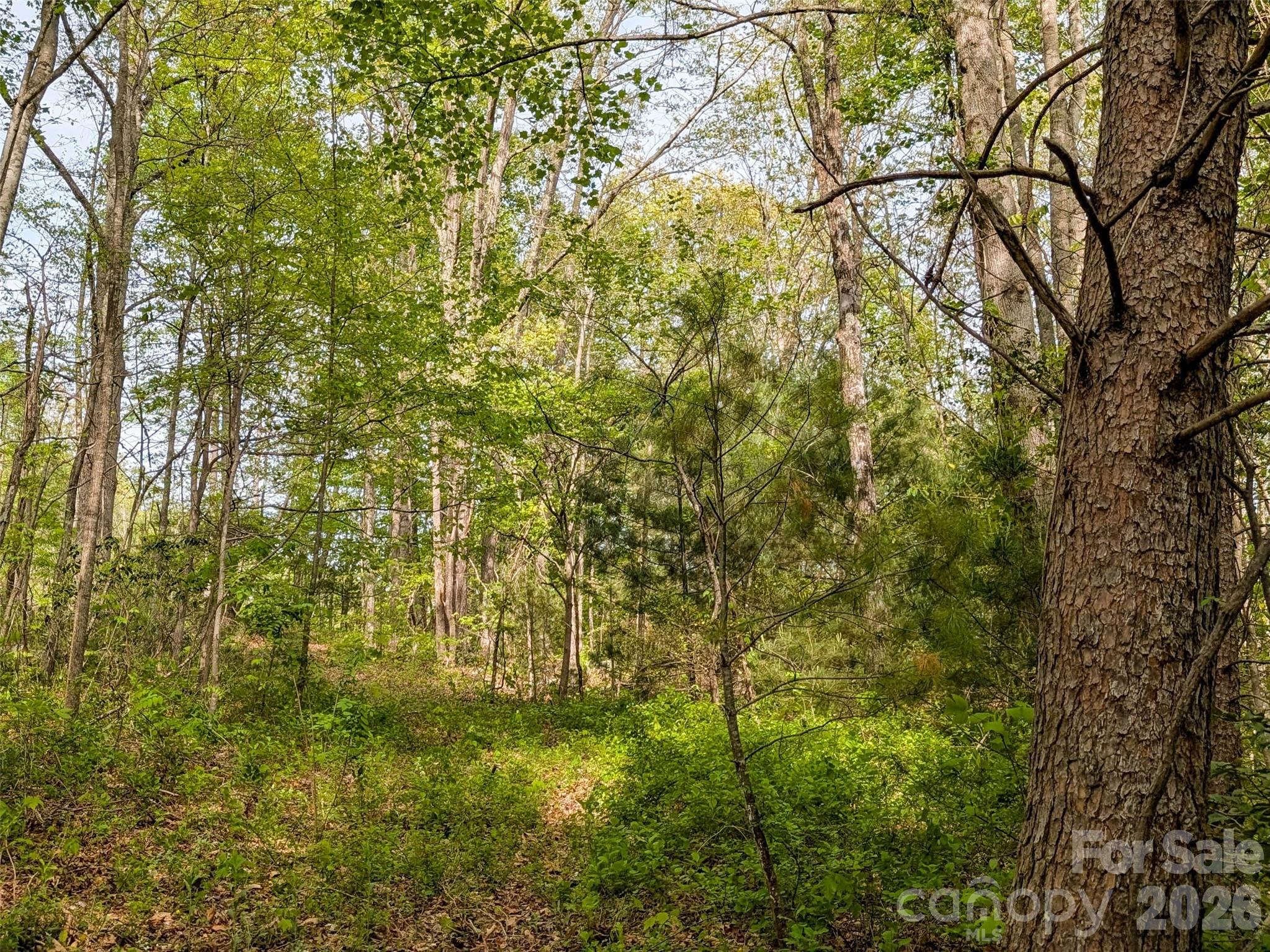 99999 Weldon Way Fairview NC 28730