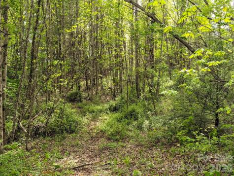 99999 Weldon Way Fairview NC 28730