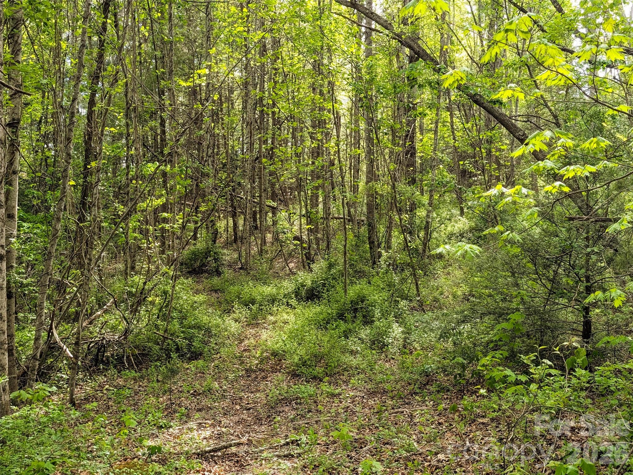 99999 Weldon Way Fairview NC 28730