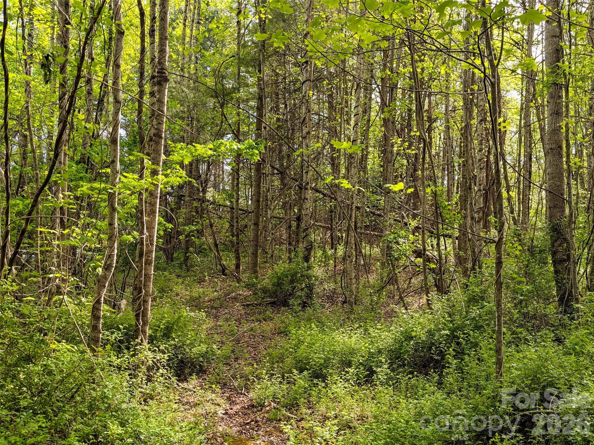 99999 Weldon Way Fairview NC 28730