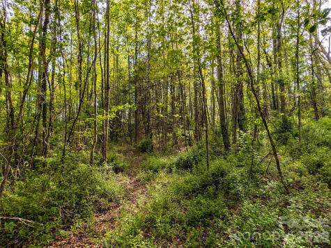 99999 Weldon Way Fairview NC 28730