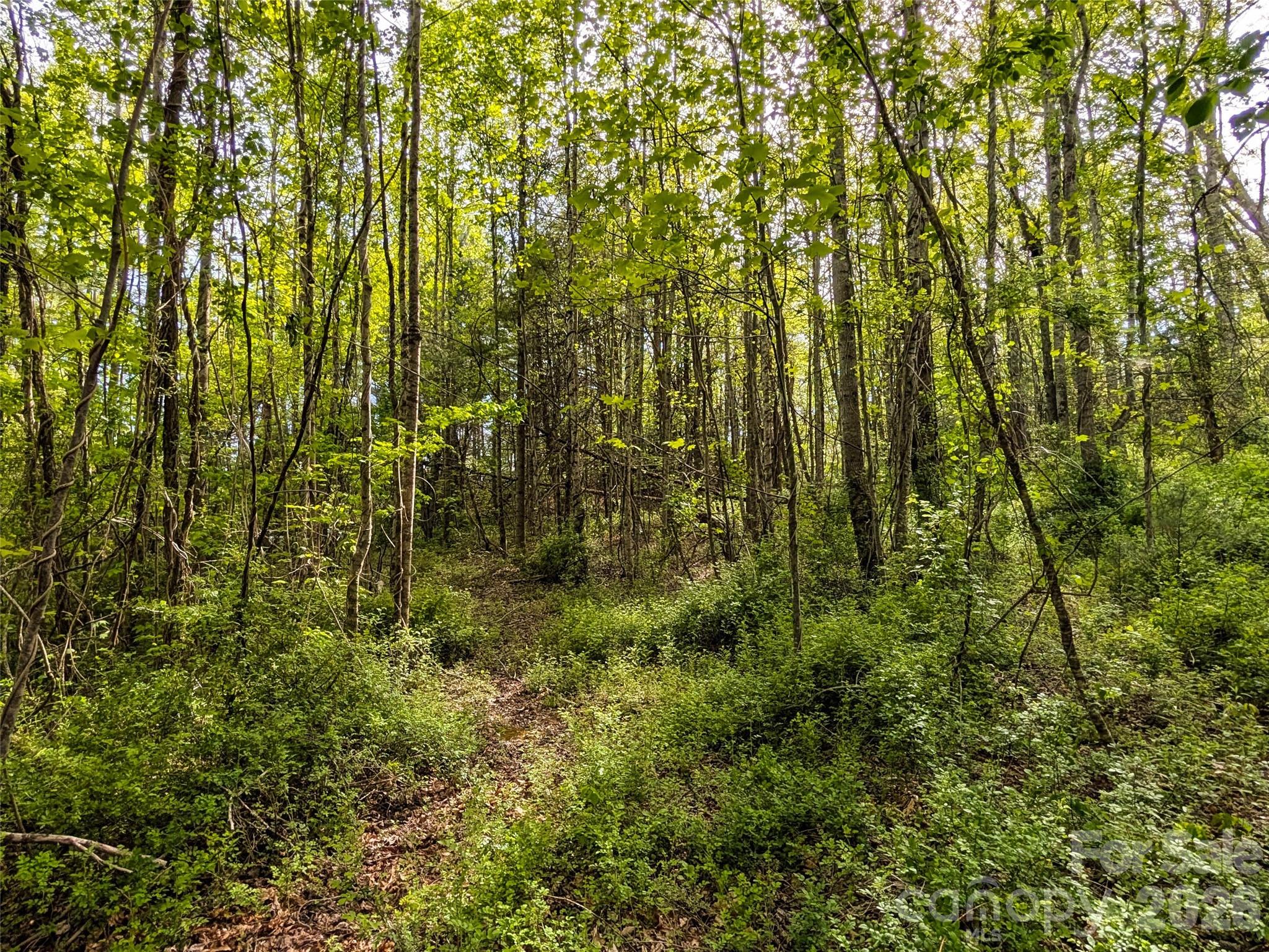 99999 Weldon Way Fairview NC 28730