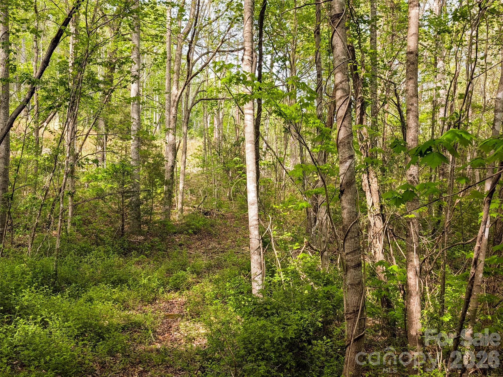 99999 Weldon Way Fairview NC 28730