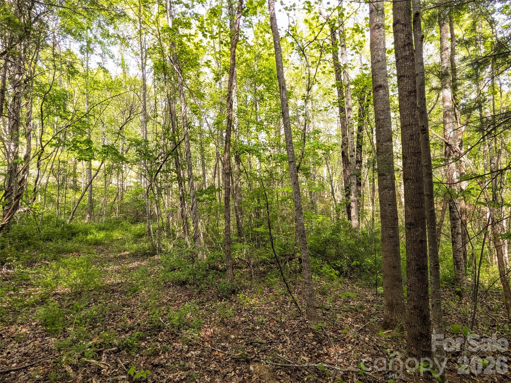 99999 Weldon Way Fairview NC 28730