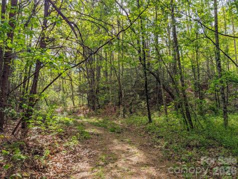 99999 Weldon Way Fairview NC 28730