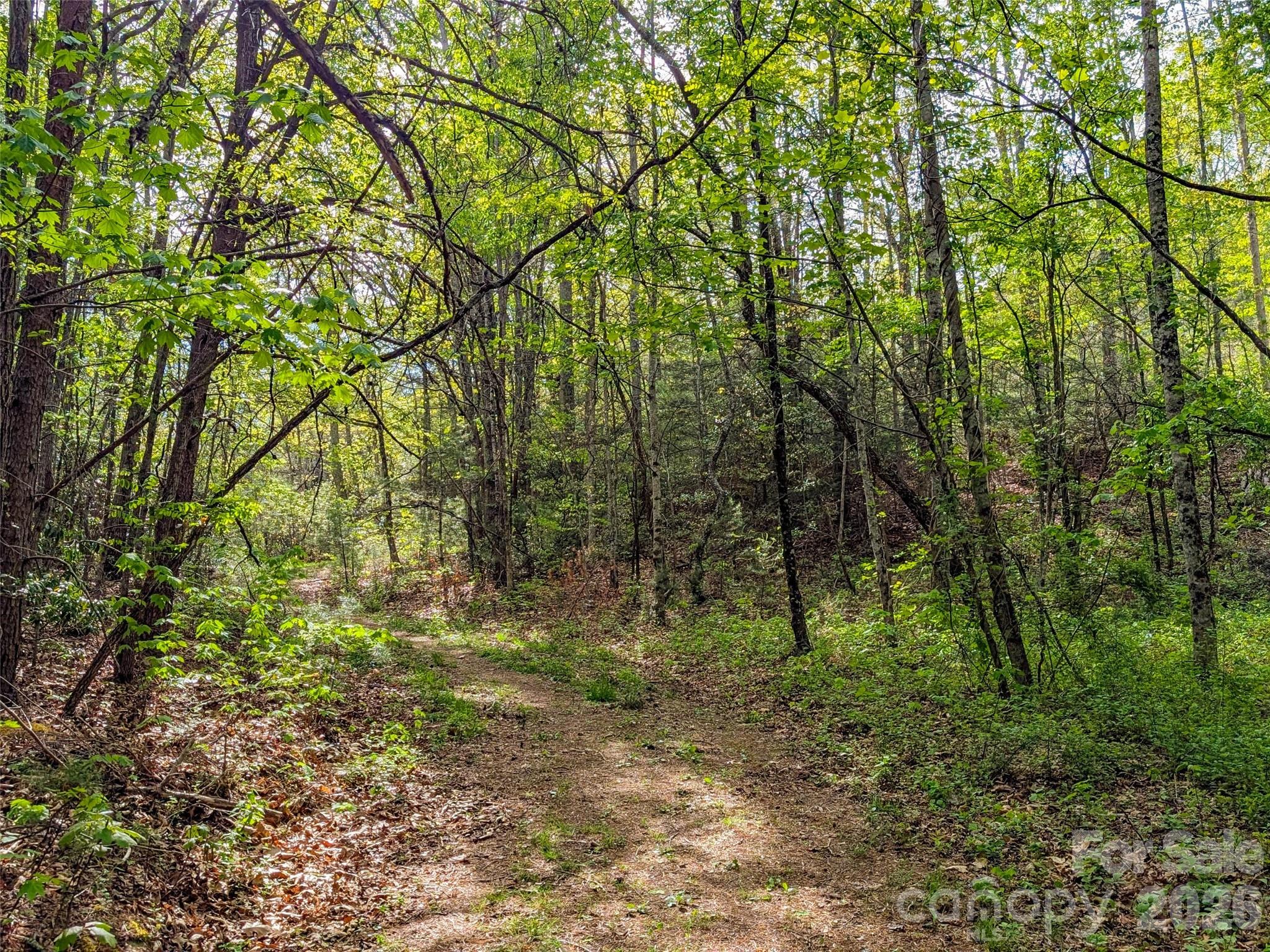 99999 Weldon Way Fairview NC 28730