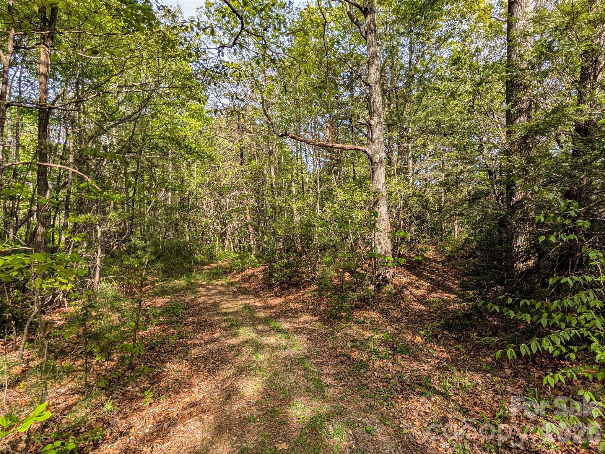 99999 Weldon Way Fairview NC 28730