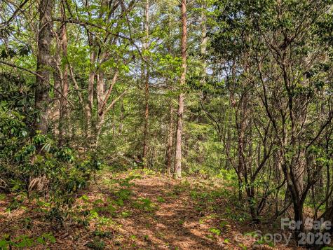 99999 Weldon Way Fairview NC 28730