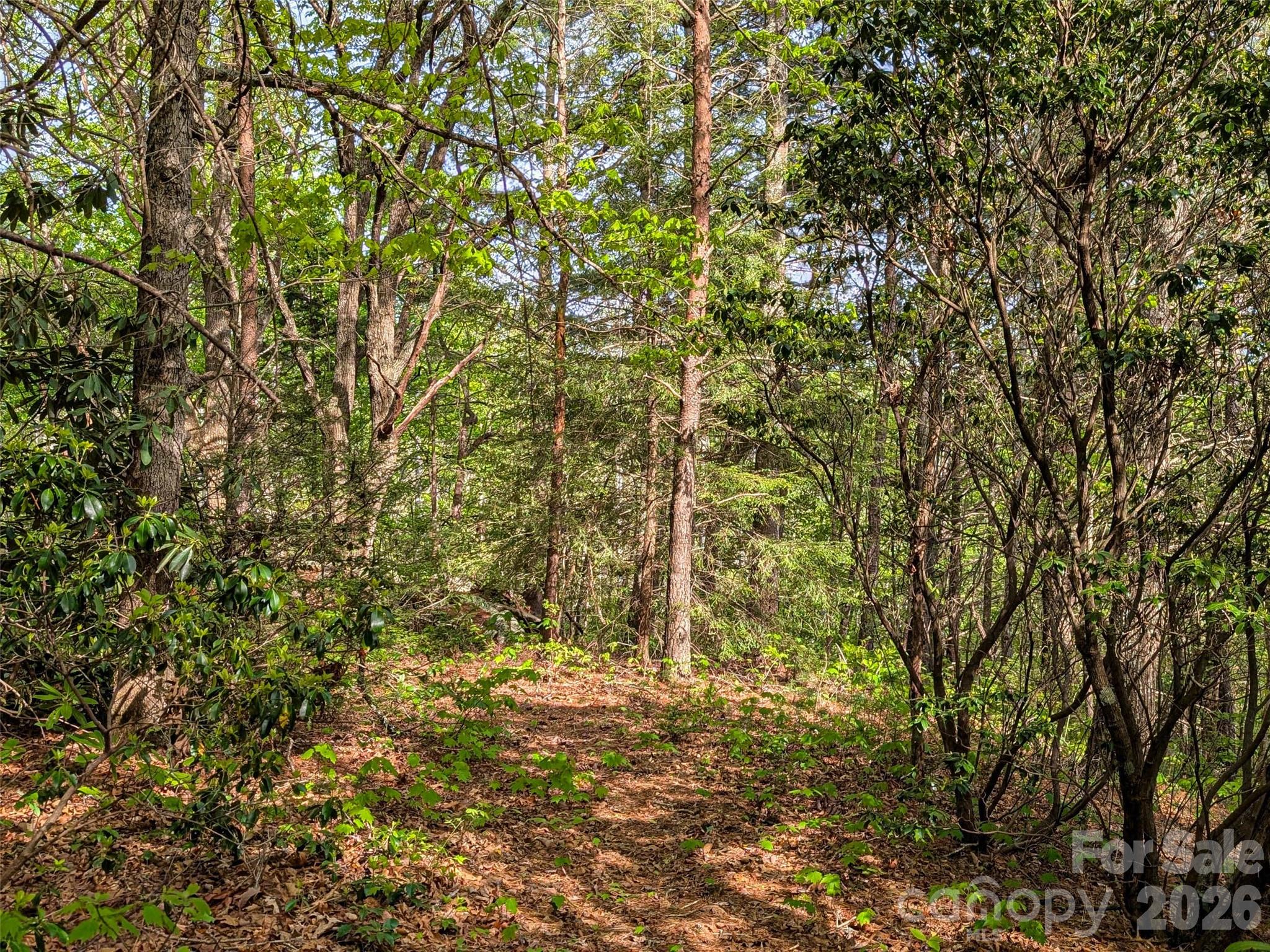 99999 Weldon Way Fairview NC 28730