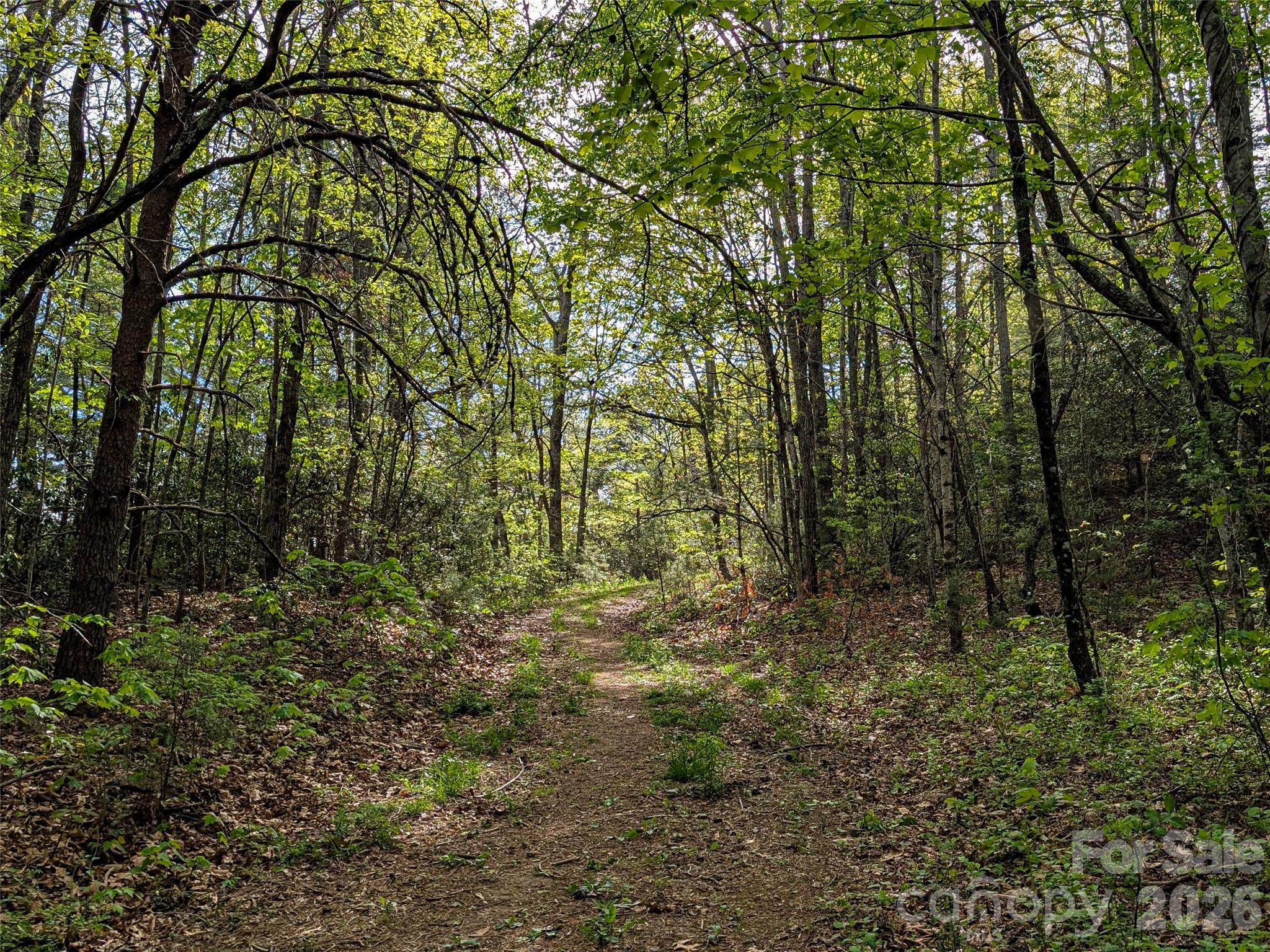 99999 Weldon Way Fairview NC 28730