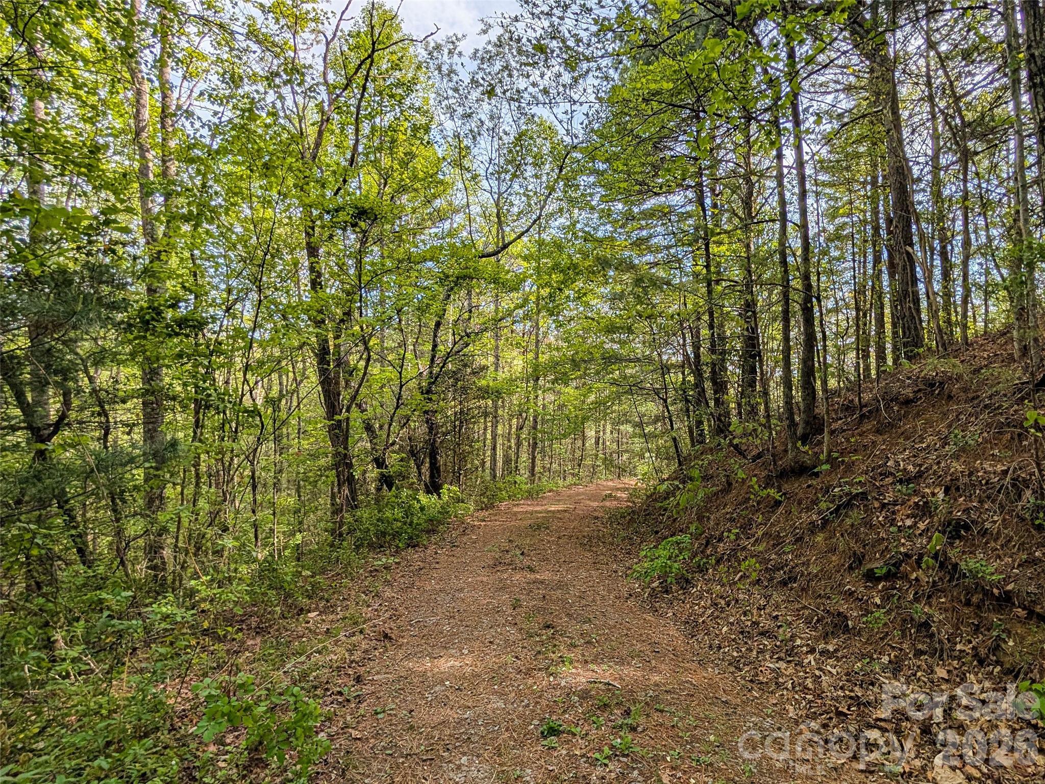 99999 Weldon Way Fairview NC 28730
