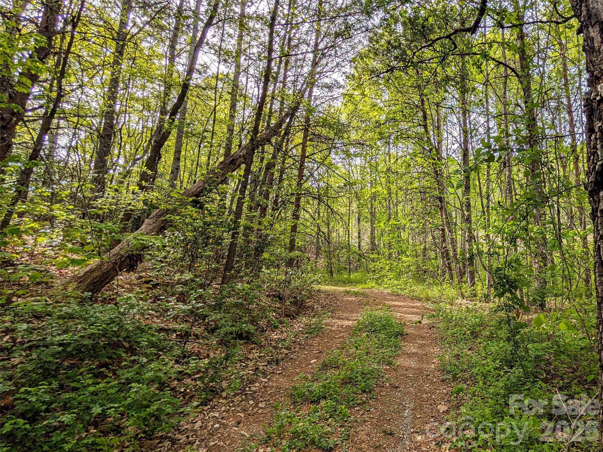 99999 Weldon Way Fairview NC 28730