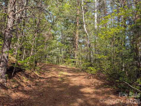 99999 Weldon Way Fairview NC 28730