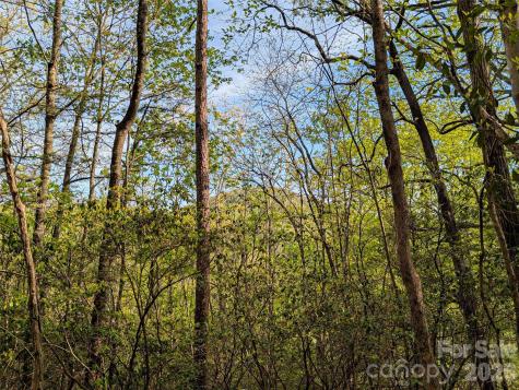 99999 Weldon Way Fairview NC 28730