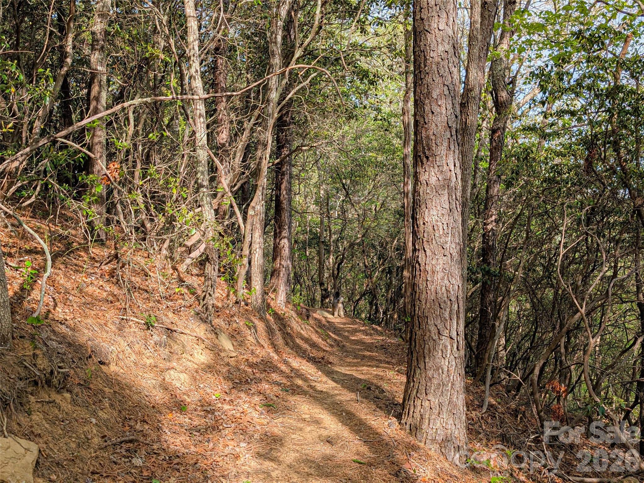 99999 Weldon Way Fairview NC 28730