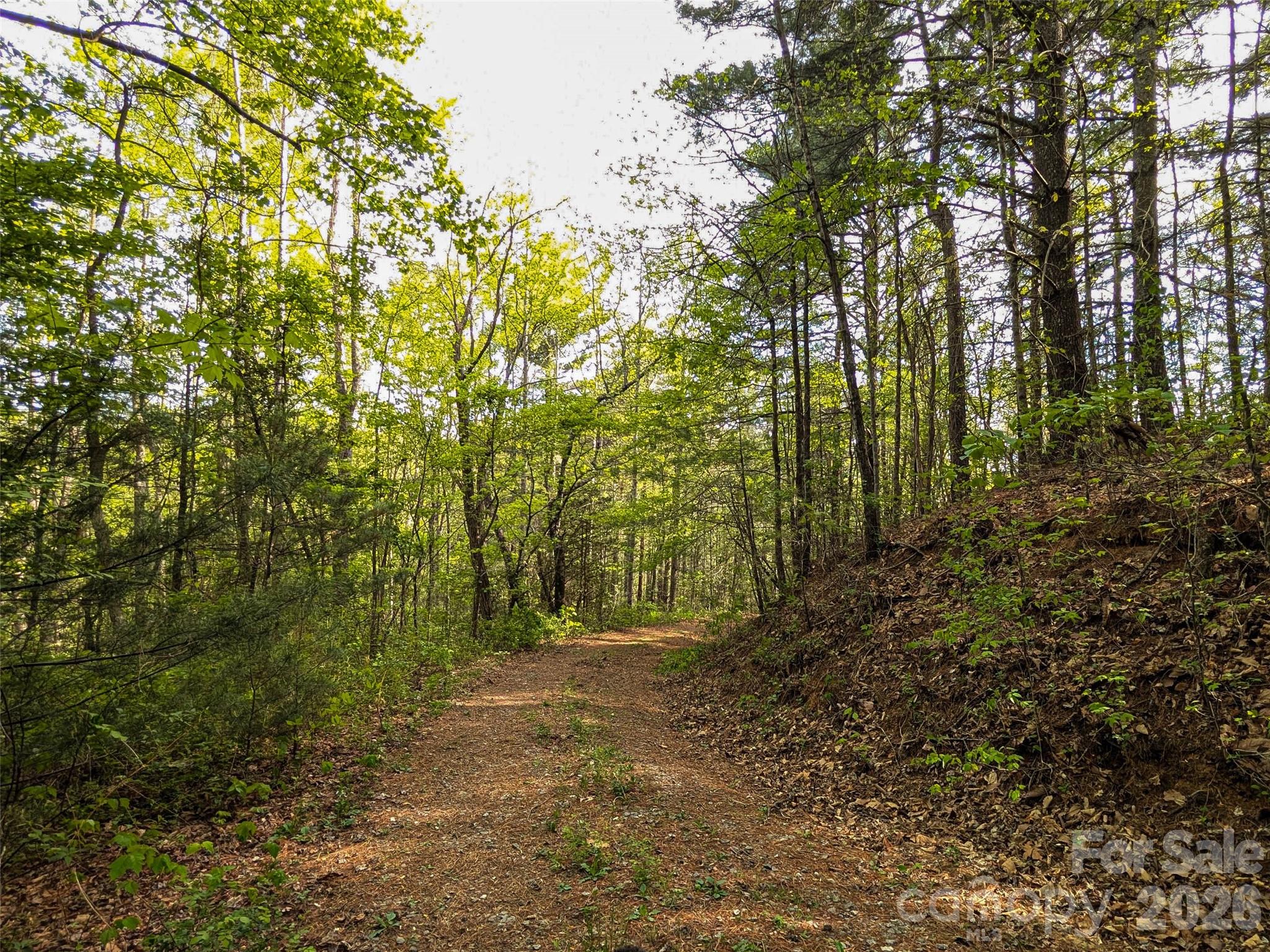 99999 Weldon Way Fairview NC 28730