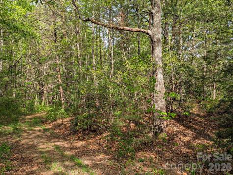 99999 Weldon Way Fairview NC 28730