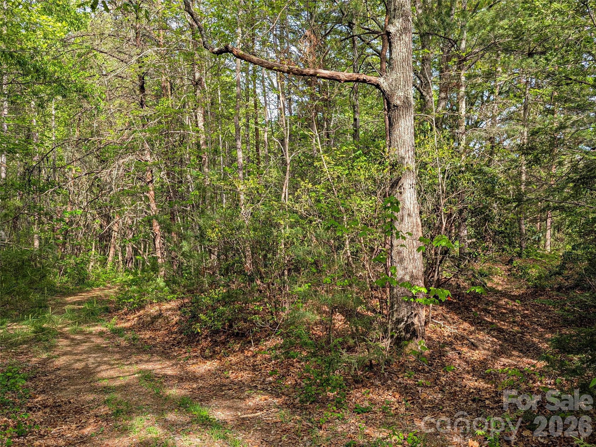 99999 Weldon Way Fairview NC 28730