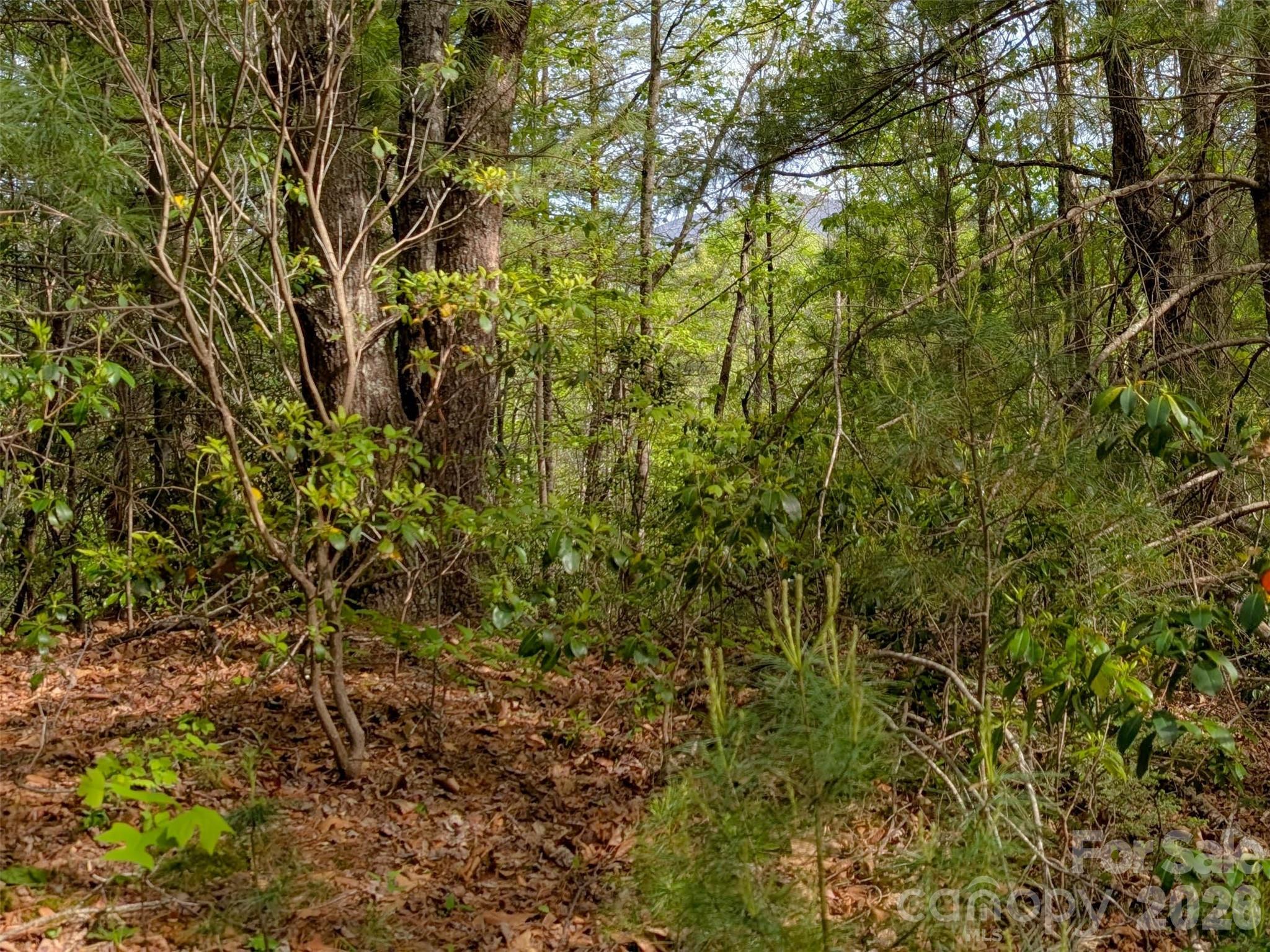 99999 Weldon Way Fairview NC 28730