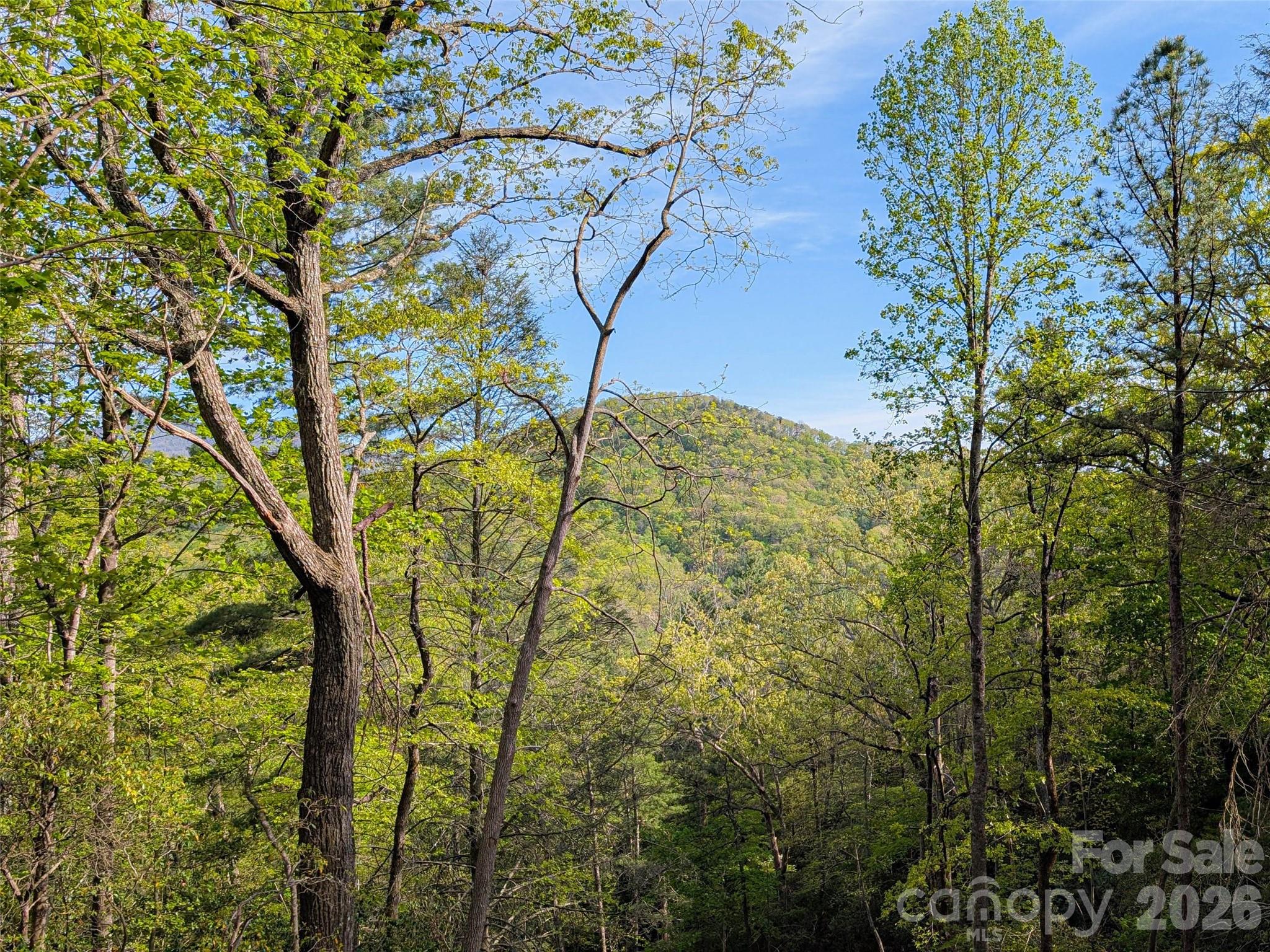 99999 Weldon Way Fairview NC 28730
