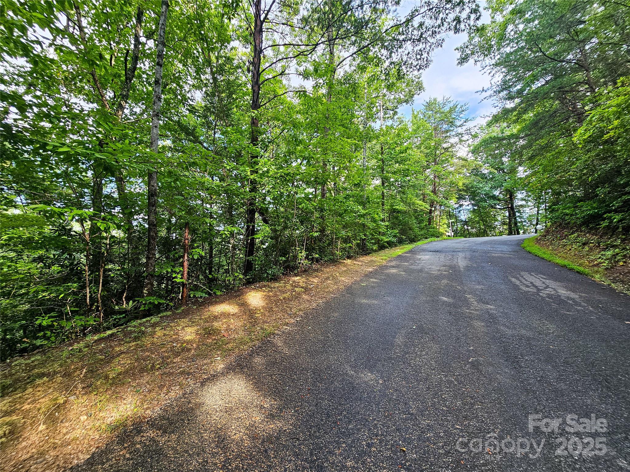 Tbd Rumbling Bald Road Lake Lure NC 28746