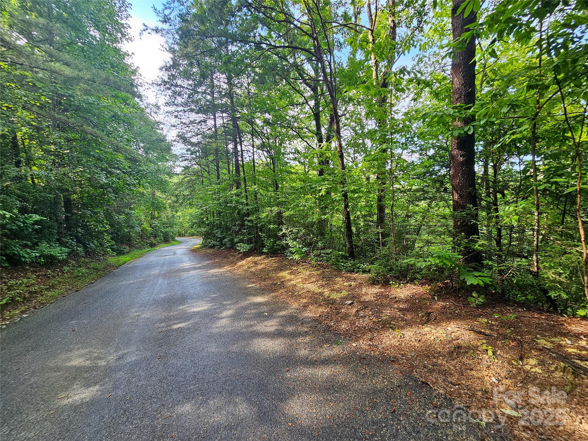 Tbd Rumbling Bald Road Lake Lure NC 28746