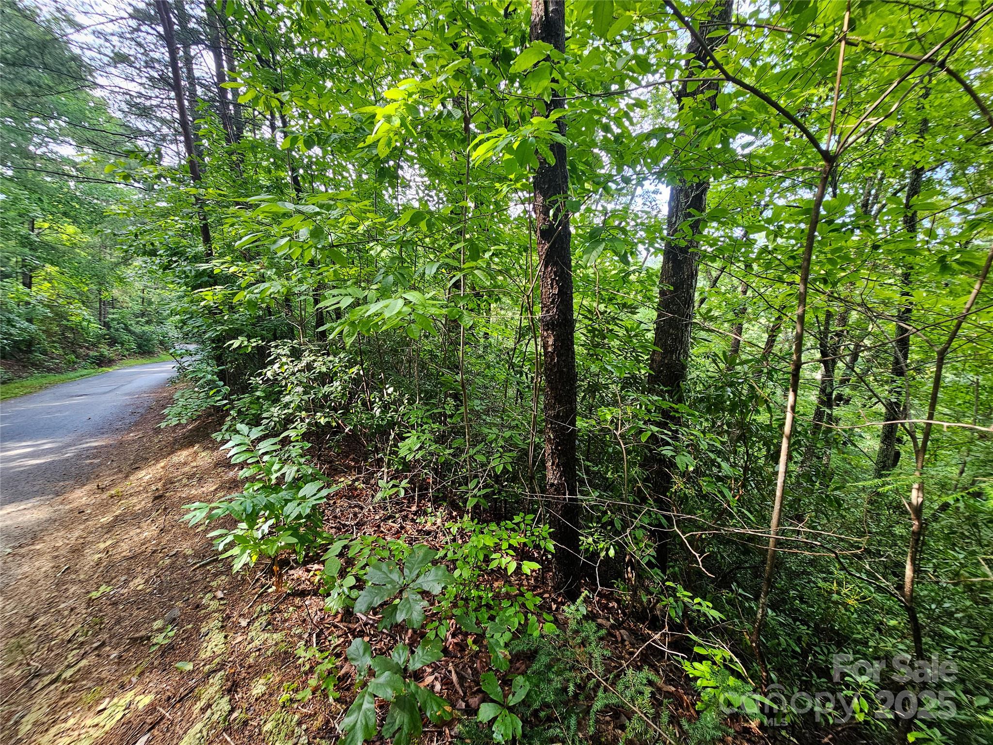 Tbd Rumbling Bald Road Lake Lure NC 28746