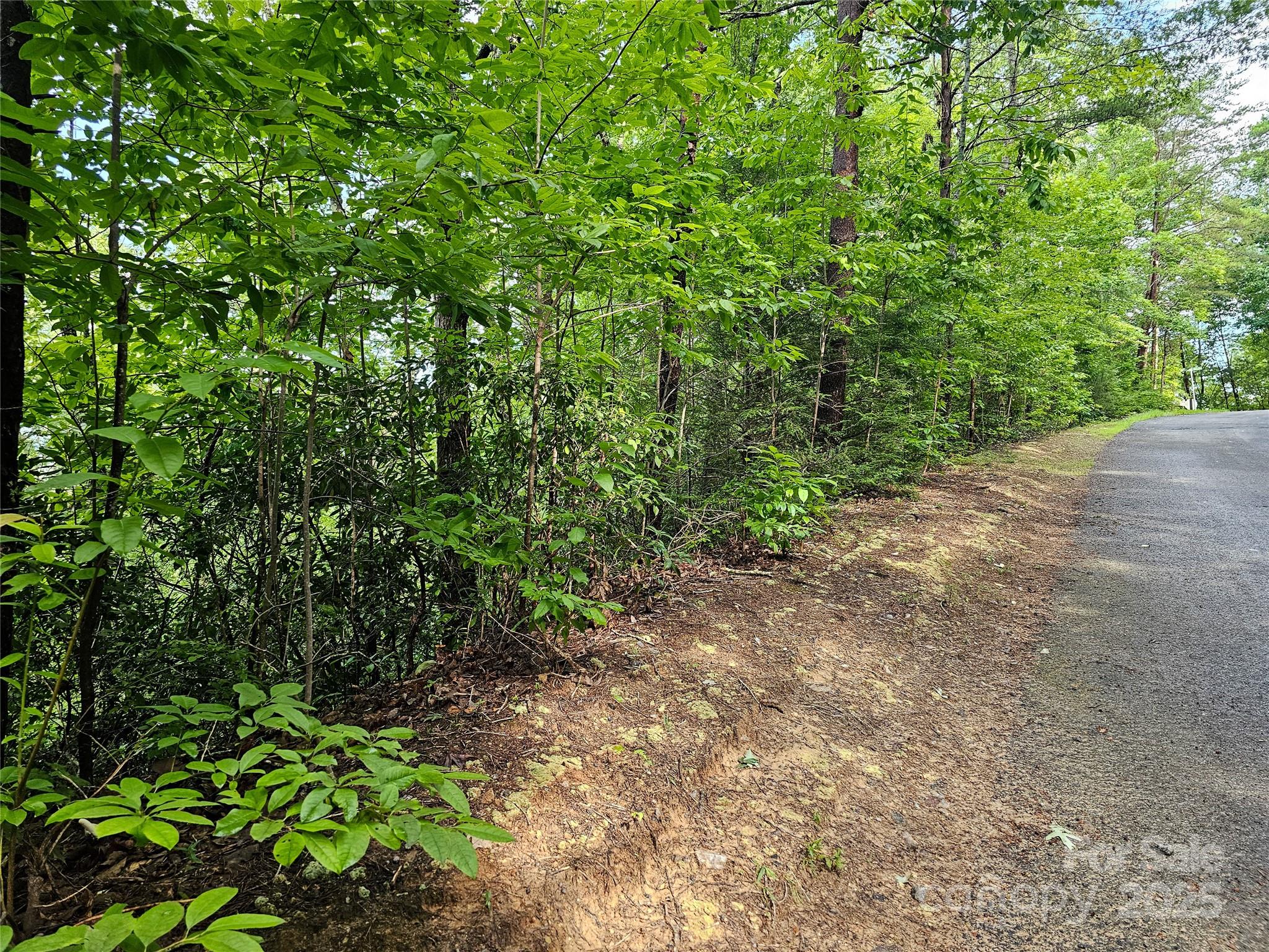 Tbd Rumbling Bald Road Lake Lure NC 28746