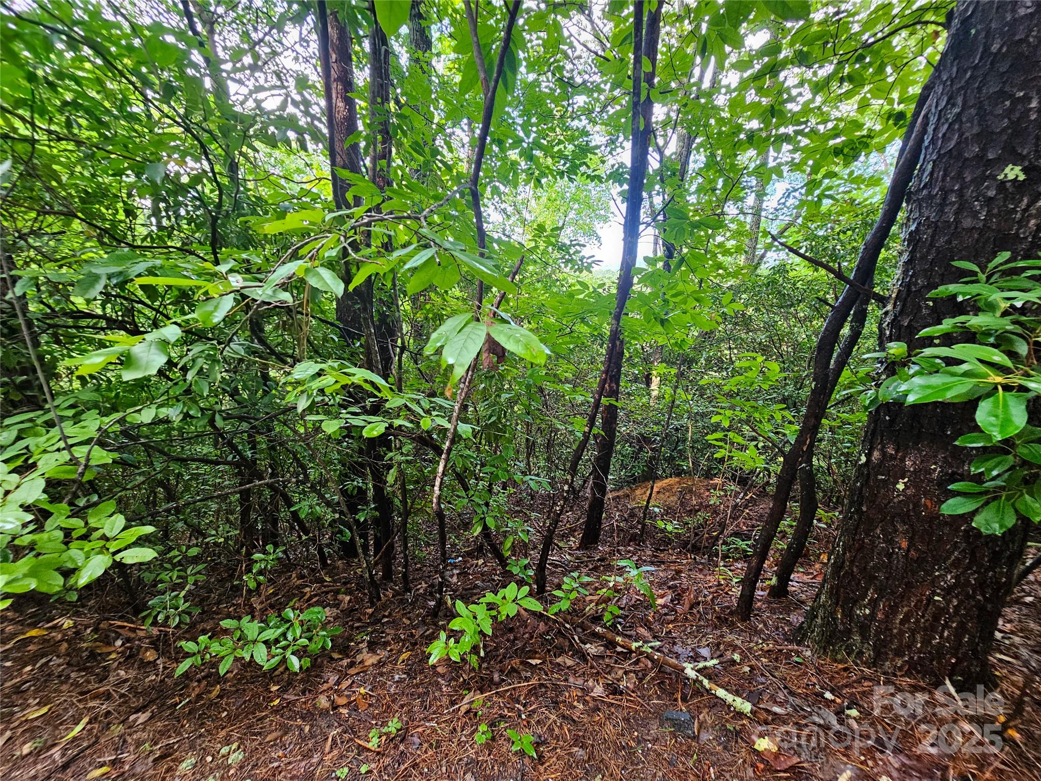 Tbd Rumbling Bald Road Lake Lure NC 28746