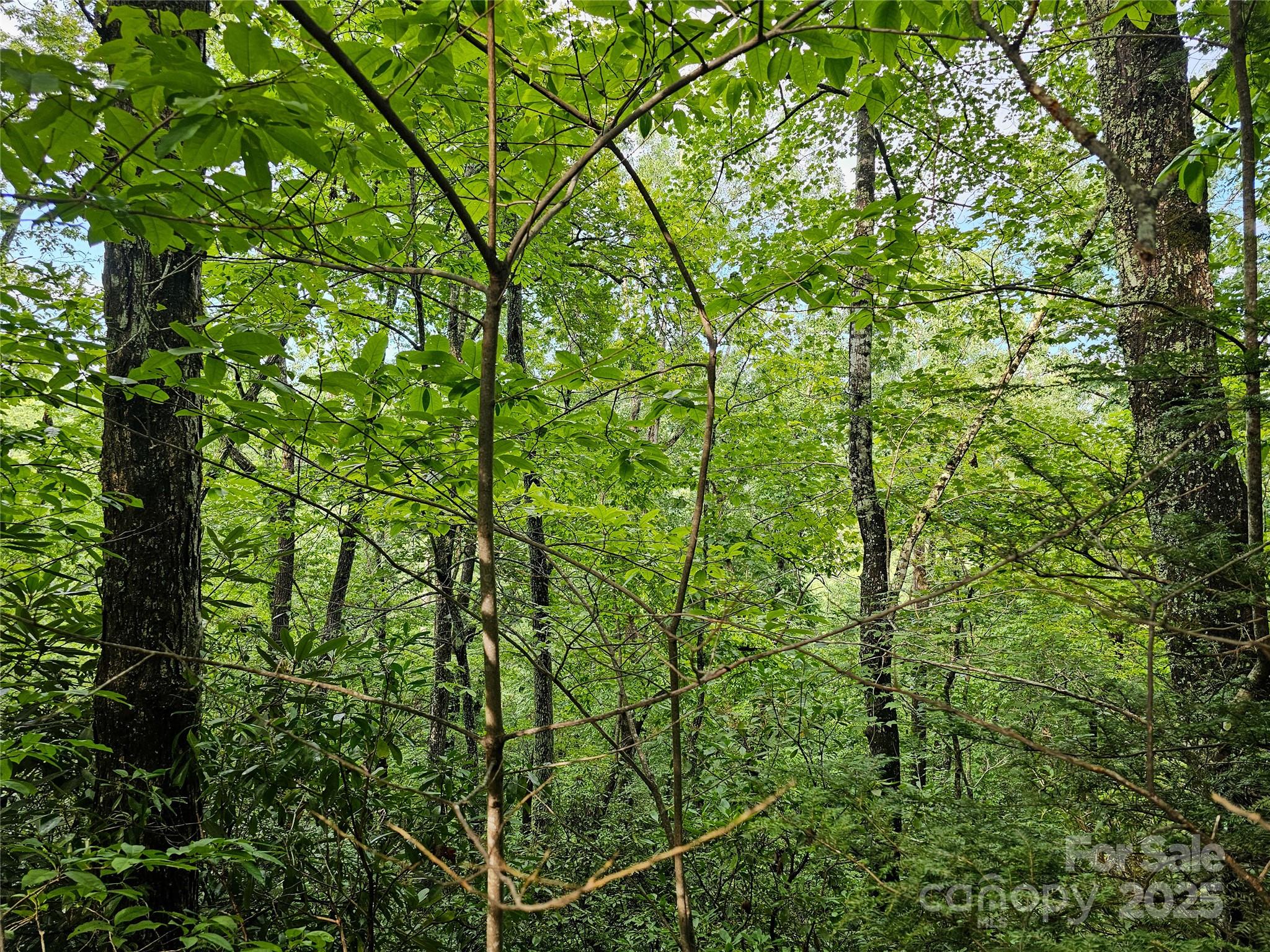 Tbd Rumbling Bald Road Lake Lure NC 28746