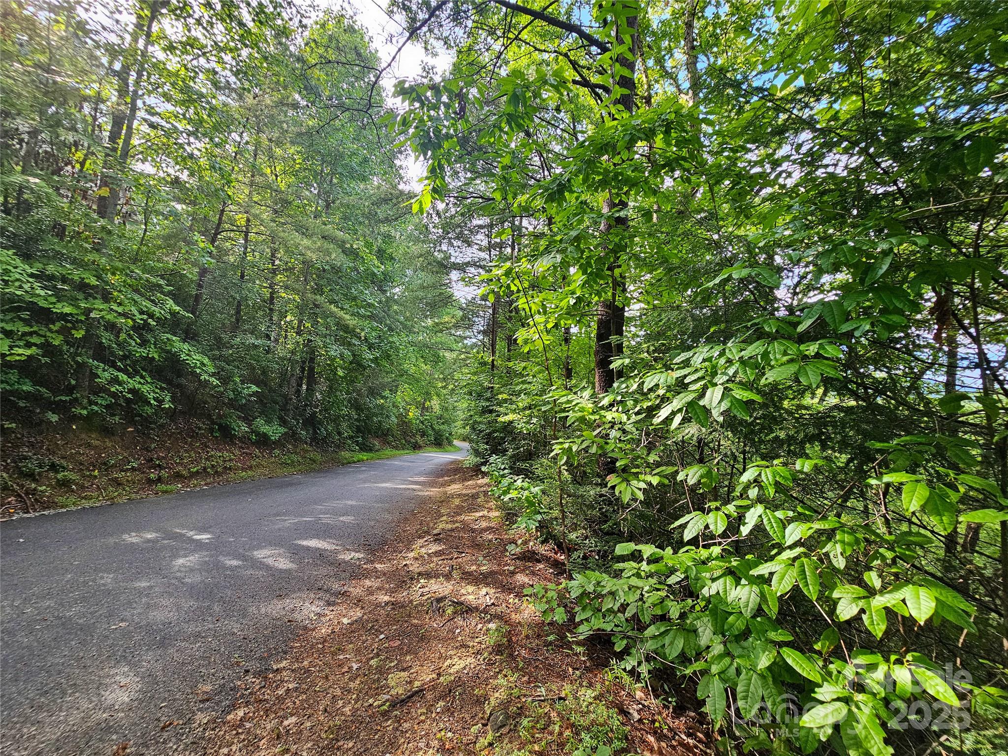 Tbd Rumbling Bald Road Lake Lure NC 28746