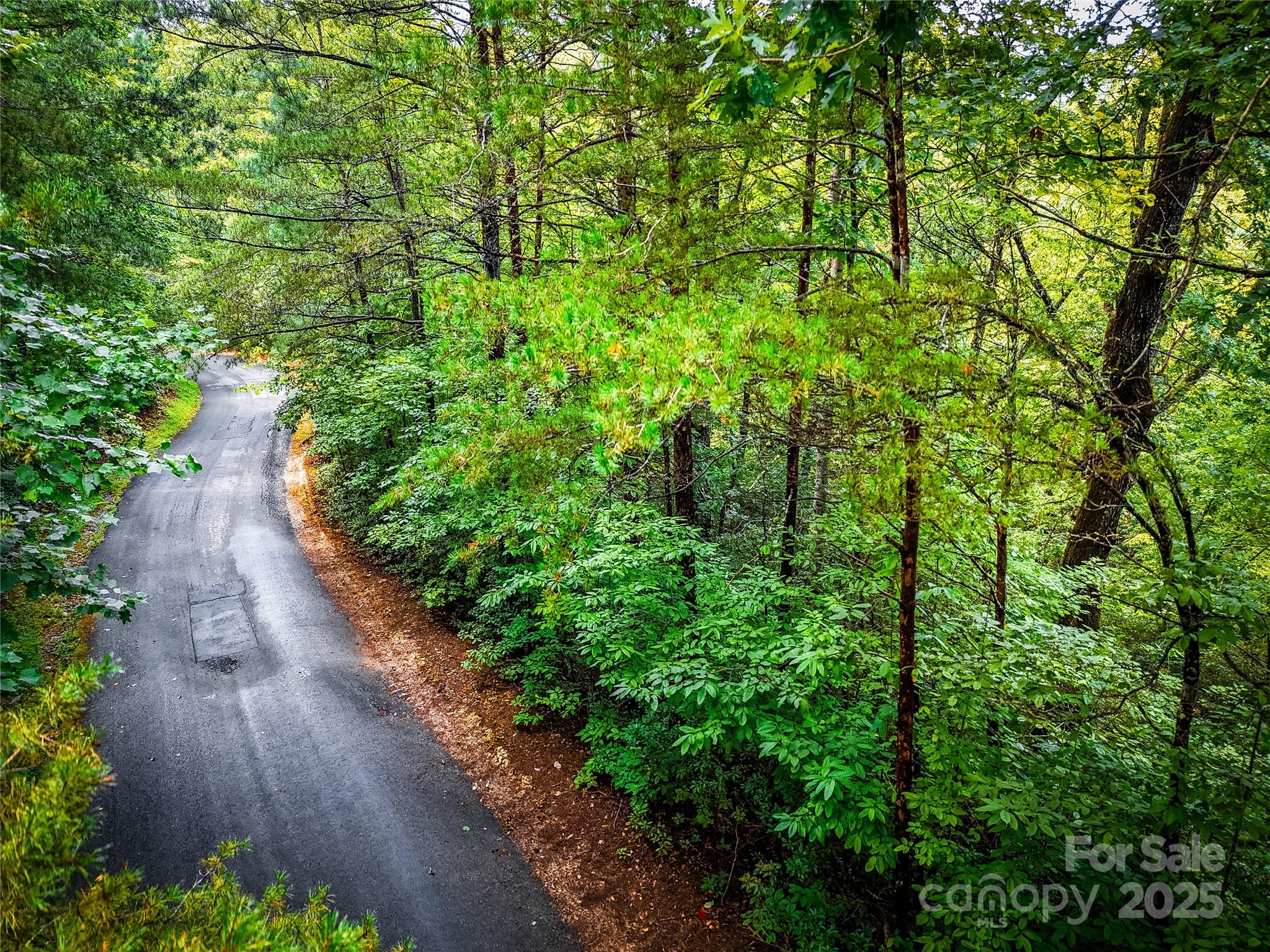 Tbd Rumbling Bald Road Lake Lure NC 28746