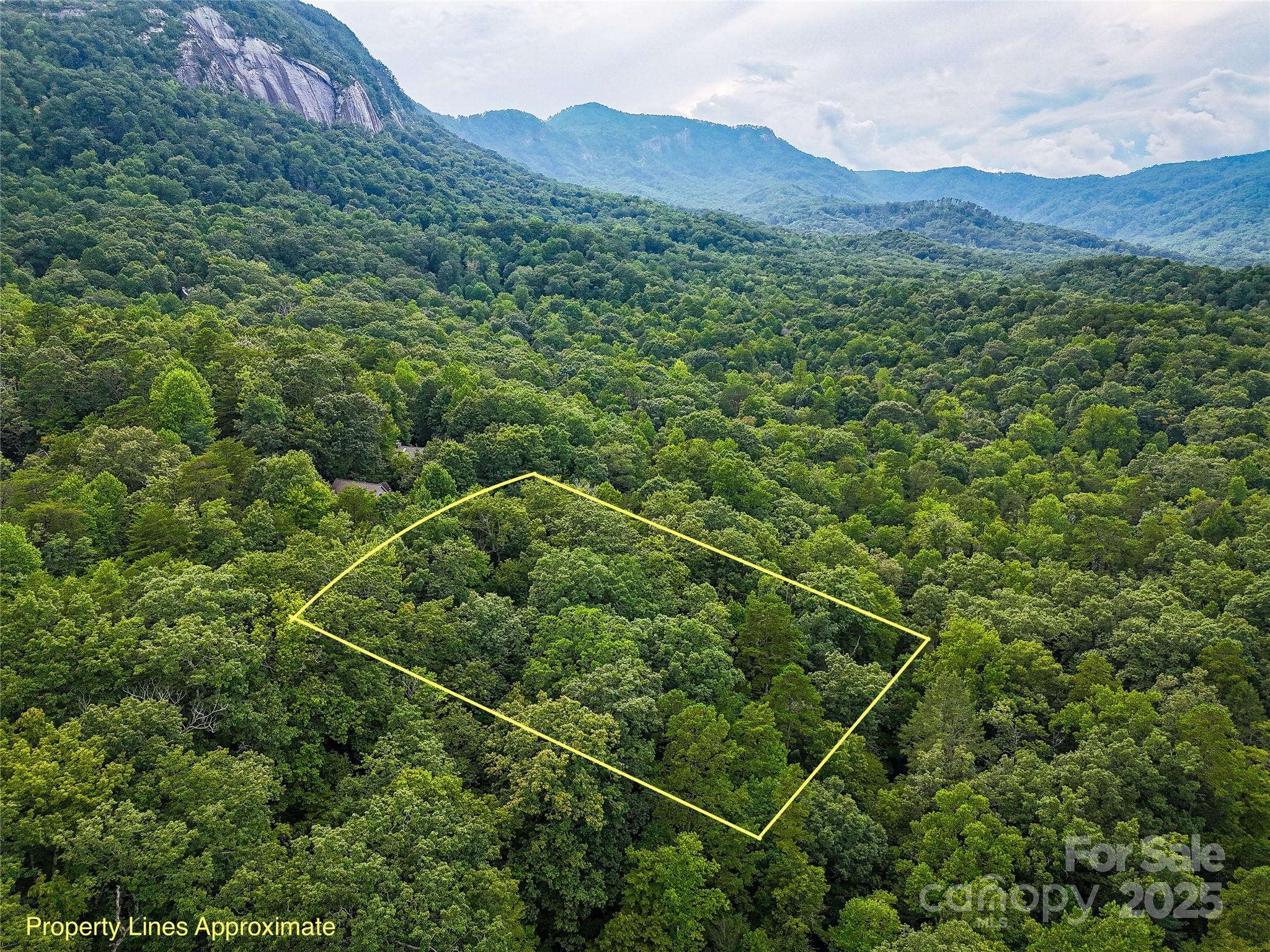 Tbd Rumbling Bald Road Lake Lure NC 28746