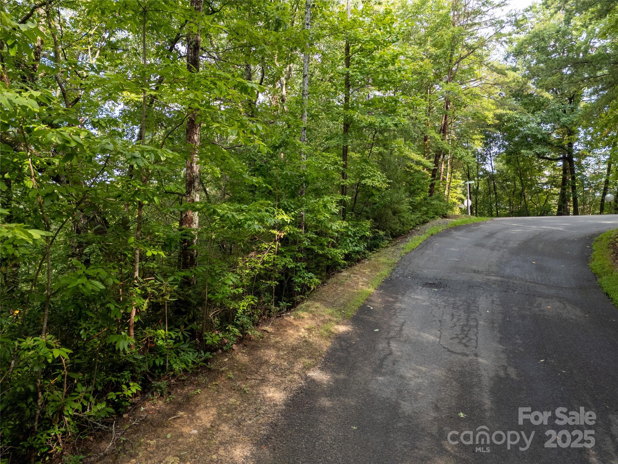 Tbd Rumbling Bald Road Lake Lure NC 28746