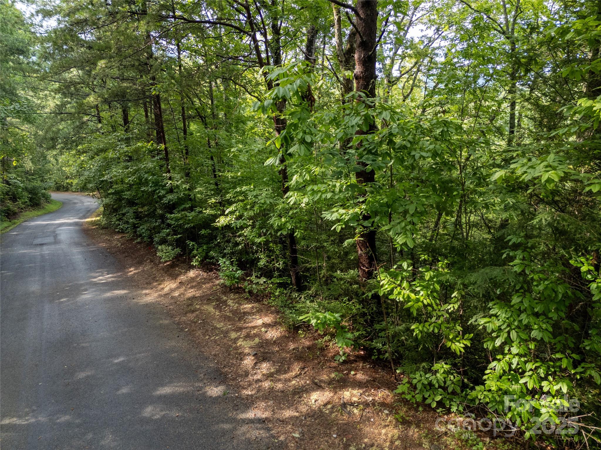 Tbd Rumbling Bald Road Lake Lure NC 28746