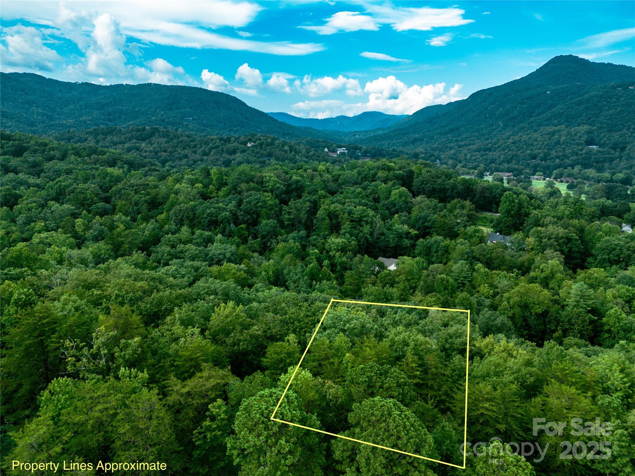Tbd Rumbling Bald Road Lake Lure NC 28746