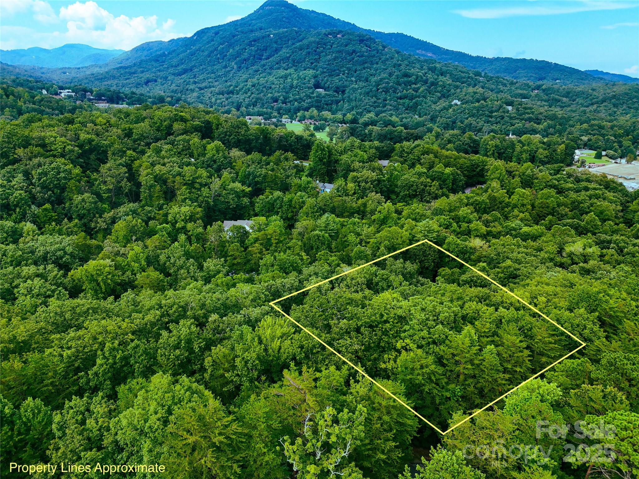 Tbd Rumbling Bald Road Lake Lure NC 28746