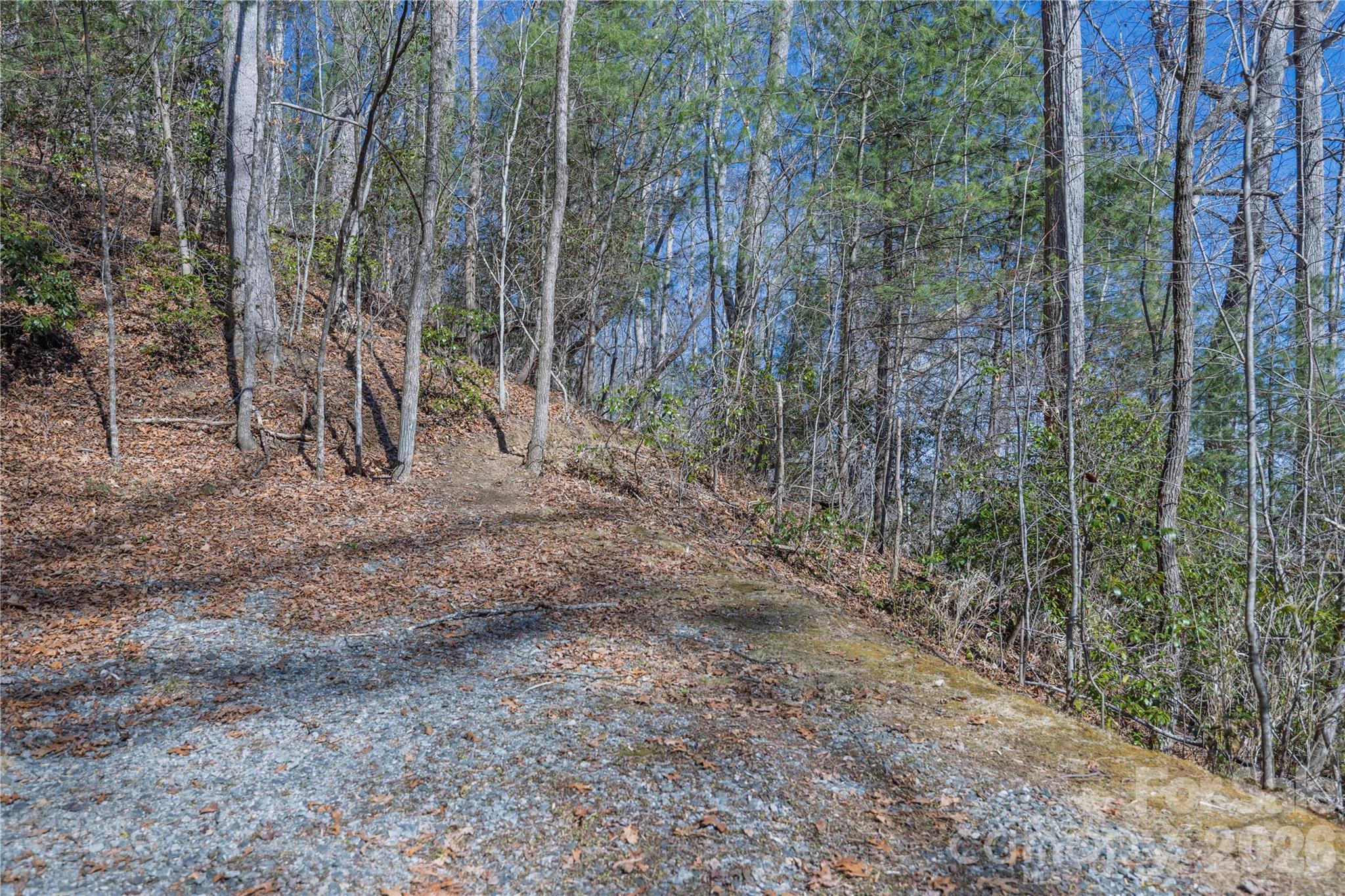 33 High Point Trail Brevard NC 28712