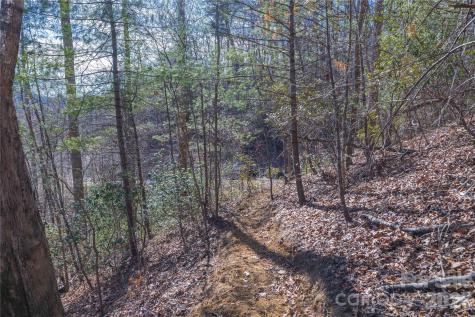 33 High Point Trail Brevard NC 28712